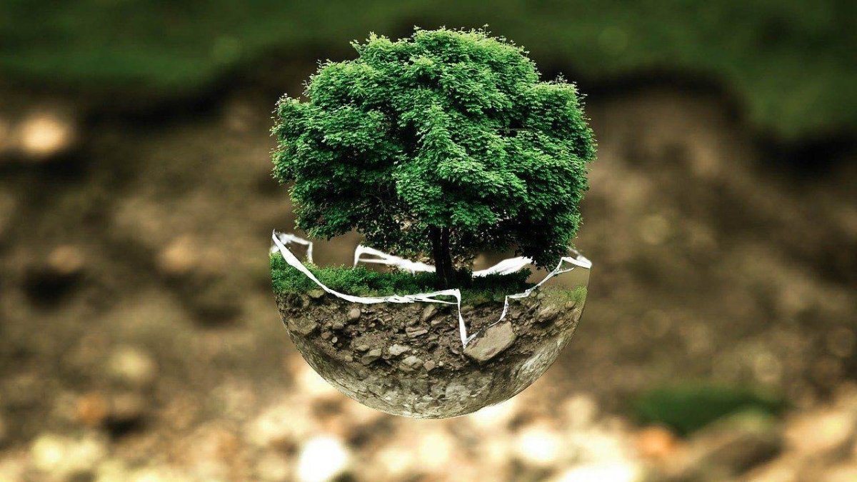 Características del consumidor consciente